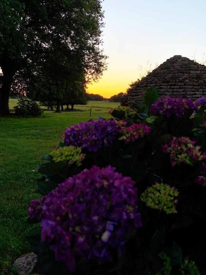 Au Coeur De La Nature Allaire Екстериор снимка